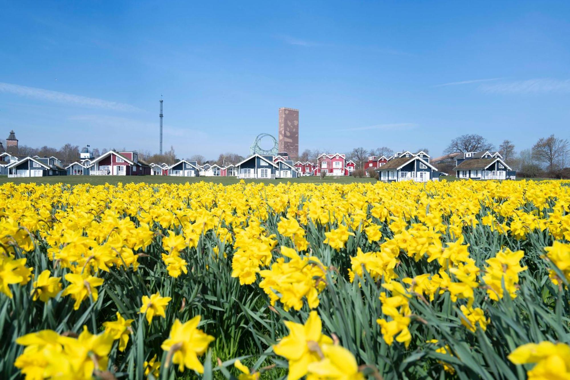 Strandpark Sierksdorf H058 Zewnętrze zdjęcie